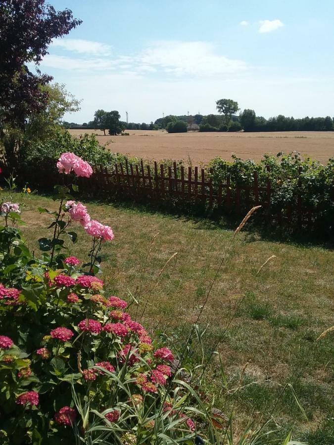 Ostseeurlaub-Asmussen Gelting Zewnętrze zdjęcie